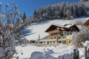 Appartementhaus Schützenhof Schied, Großarl, Österreich